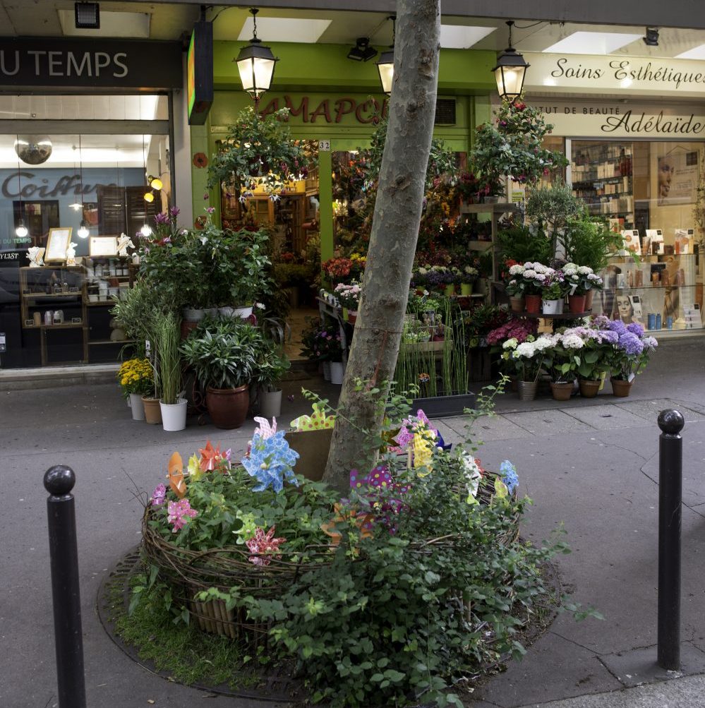 Permis de végétaliser, quand les urbains deviennent jardiniers Permis de végétaliser, quand les urbains deviennent jardiniers