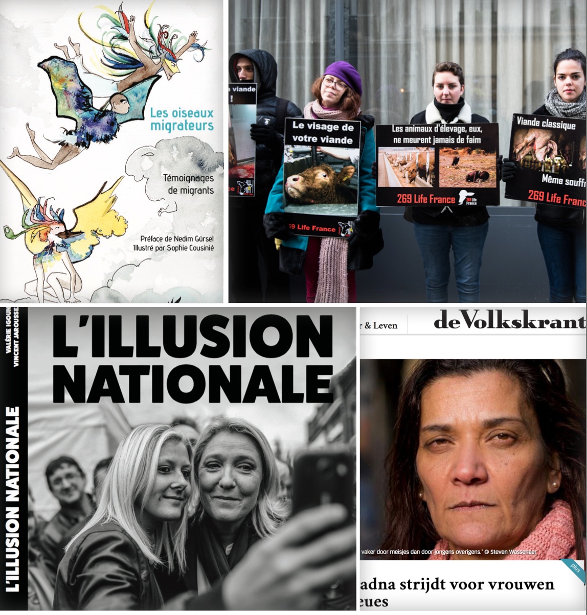Les news des Incorrigibles – N°4 Les news des Incorrigibles – N°4
