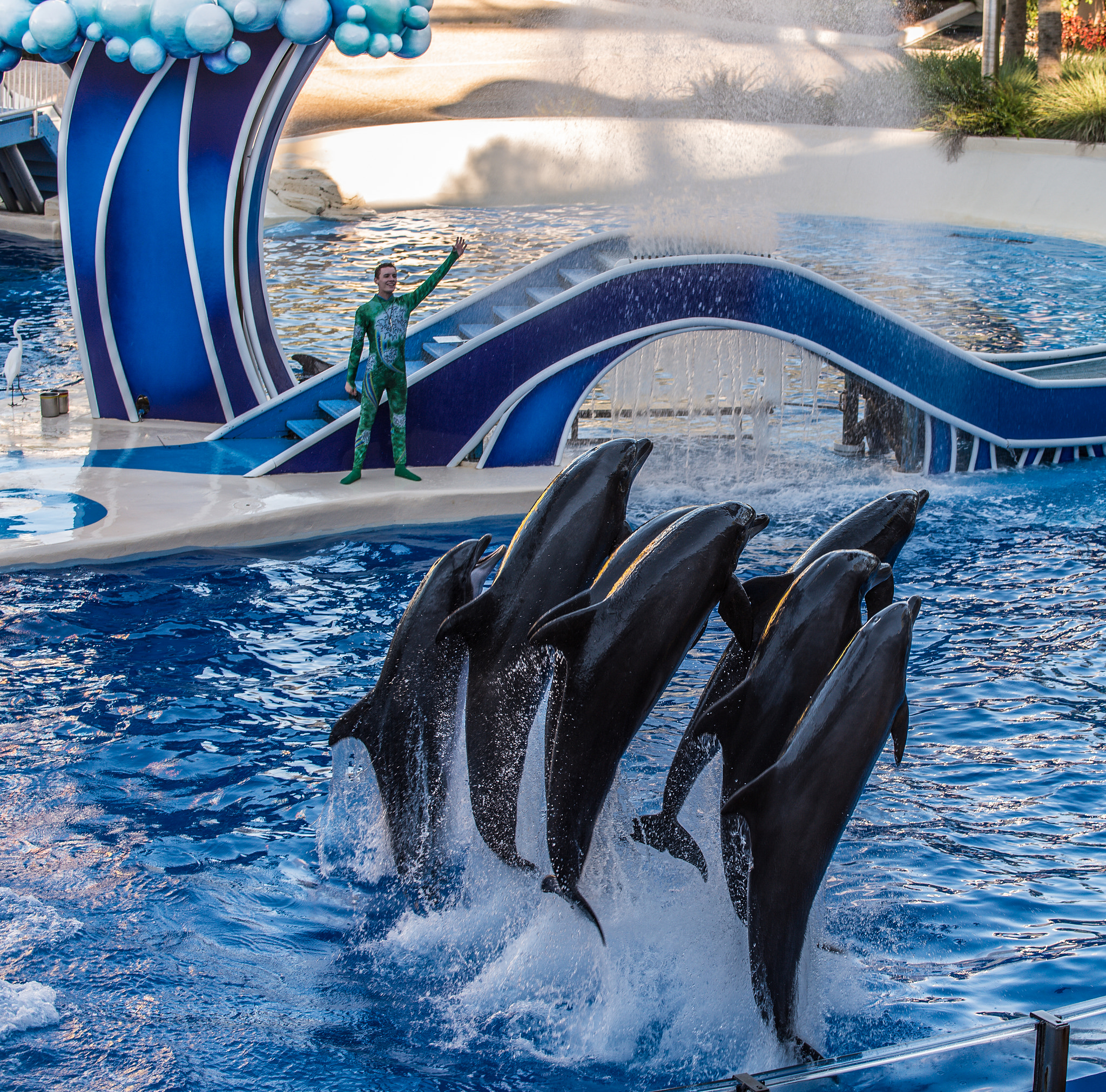Faut-il fermer les delphinariums ? Faut-il fermer les delphinariums ?