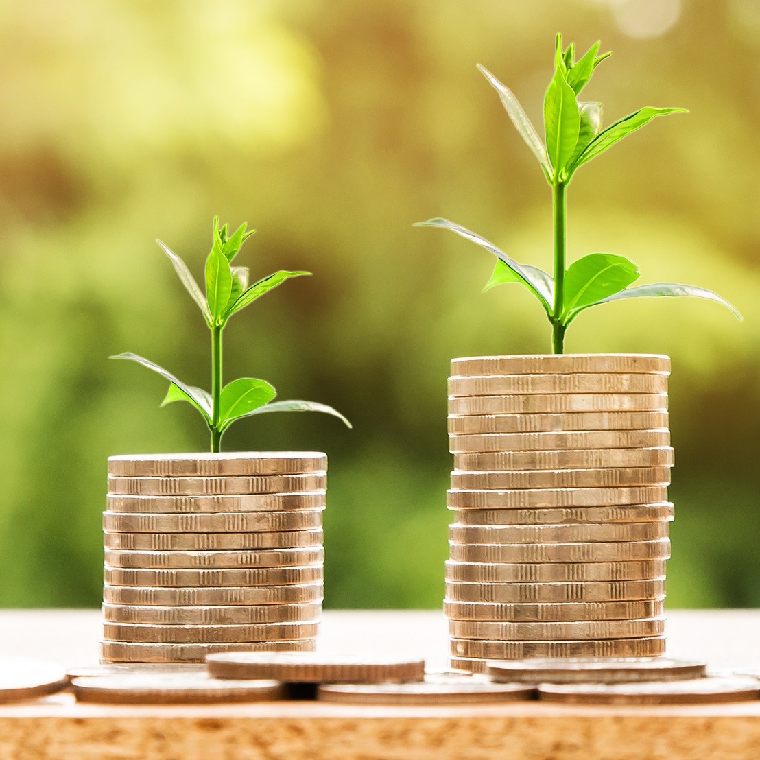 Eco-responsabilité : pourquoi les PME doivent s’y mettre Eco-responsabilité : pourquoi les PME doivent s’y mettre