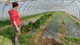 Maraîcher bio du campus agricole du Rheu en Bretagne. Photo : Anne-Flore Hervé, 25 mars 2021
