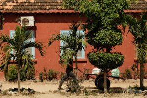 L'île de Gorée au Sénégal. Novembre 2025.©AnFloreH
